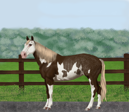 horse image