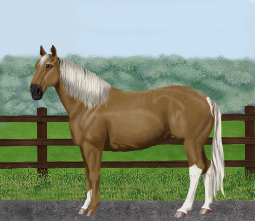 horse image