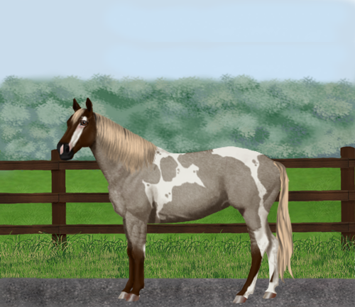 horse image