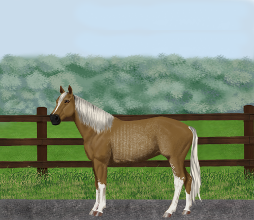 horse image