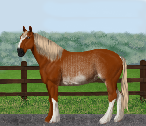 horse image