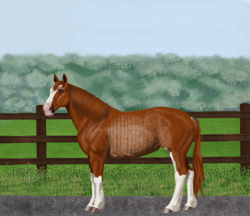 horse image