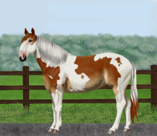 horse image