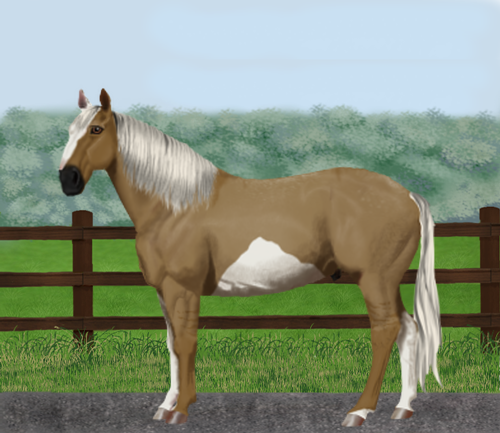 horse image