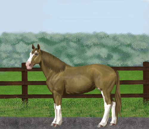 horse image