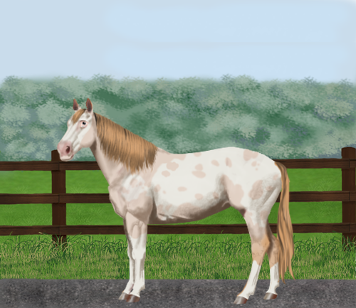 horse image