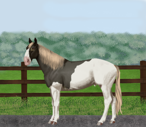 horse image