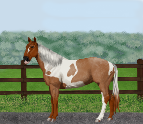 horse image