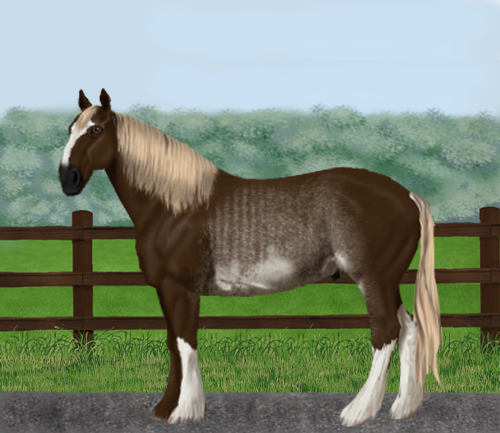 horse image