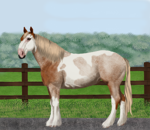 horse image