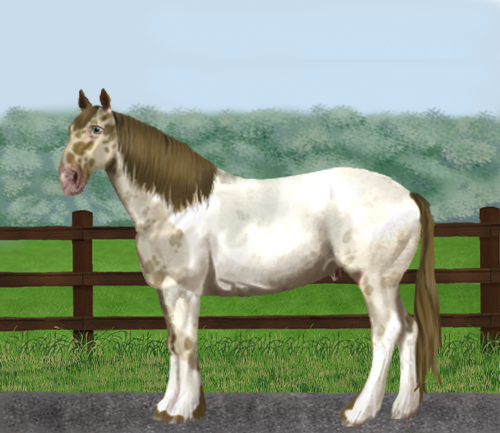 horse image