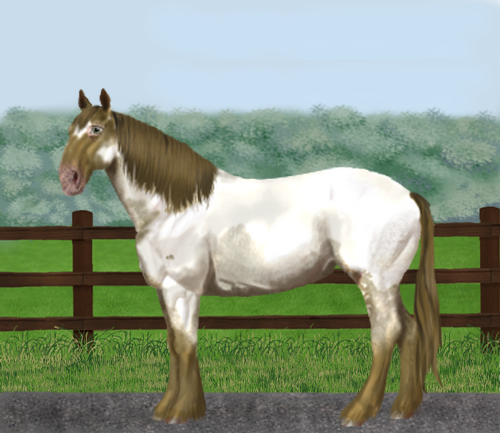 horse image