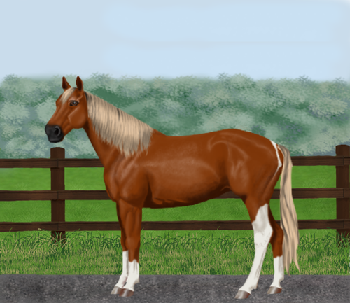 horse image