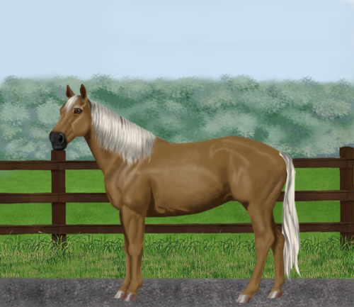 horse image