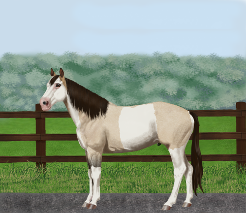 horse image