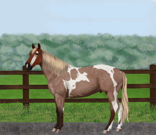 horse image