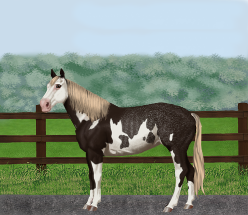 horse image