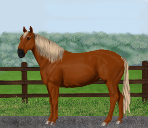 horse image