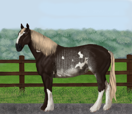 horse image