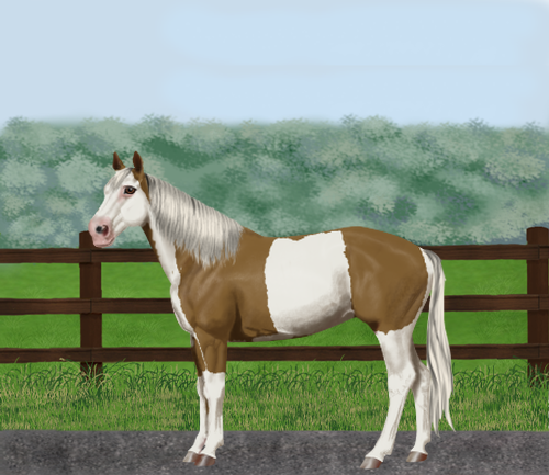 horse image