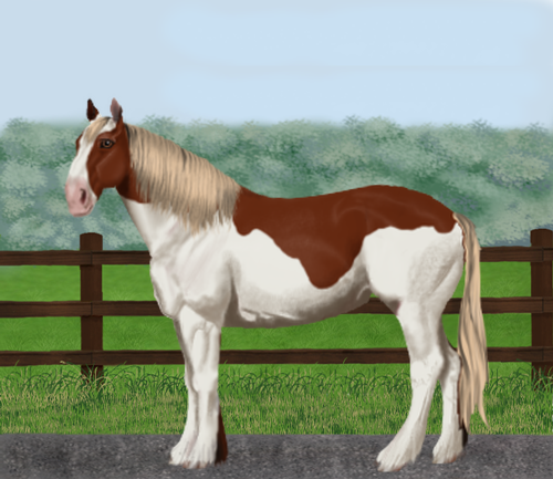 horse image