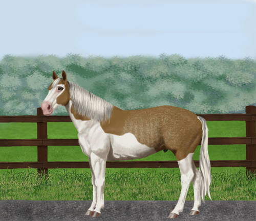 horse image