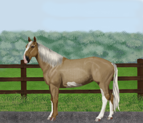 horse image