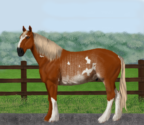 horse image