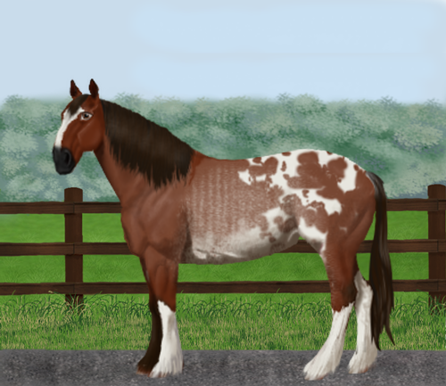 horse image