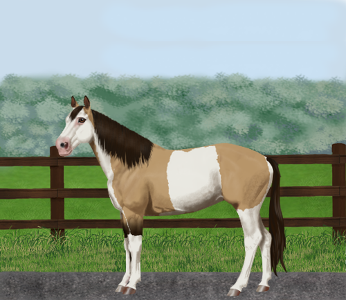 horse image