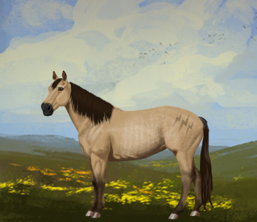 horse image