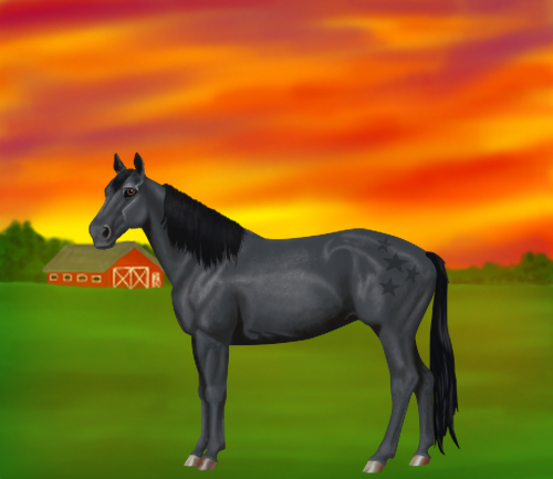 horse image