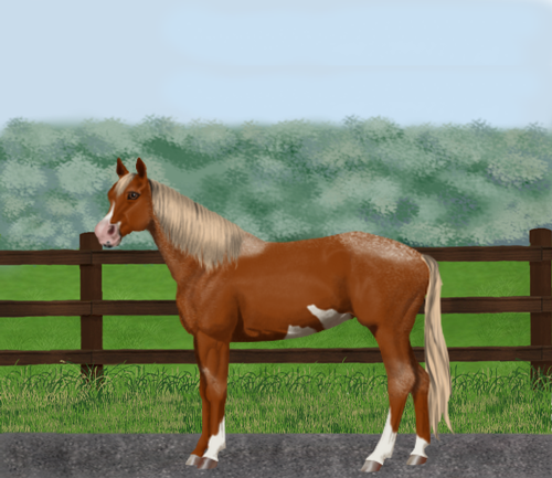 horse image