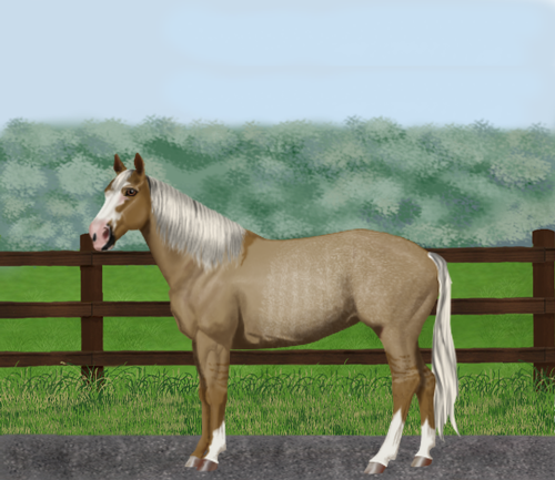 horse image