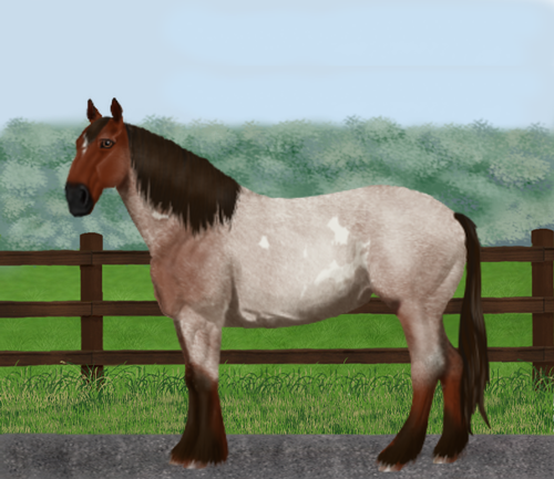 horse image