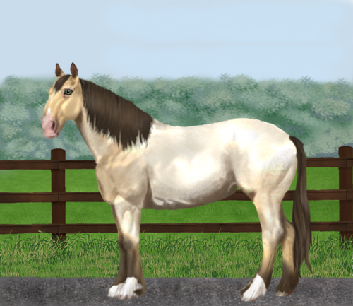 horse image