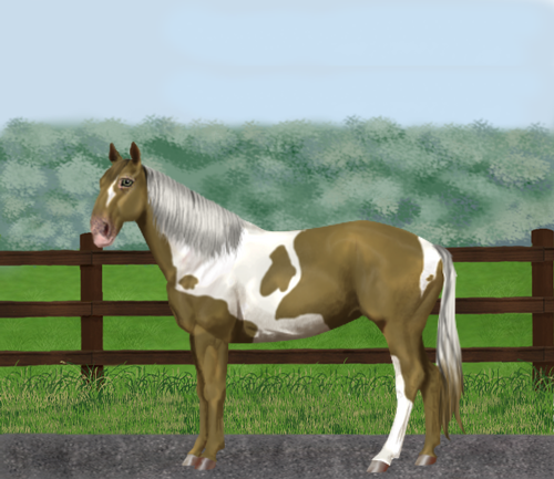 horse image