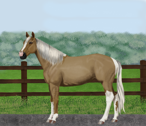 horse image