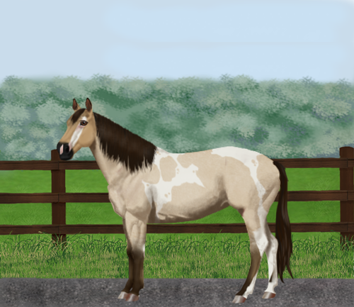 horse image