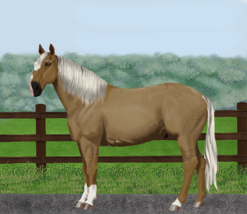 horse image