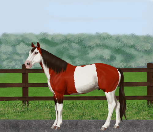 horse image