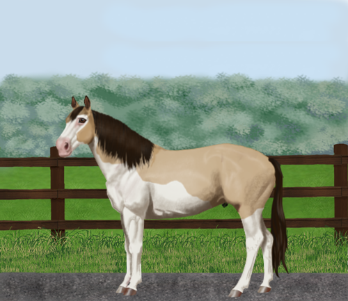 horse image