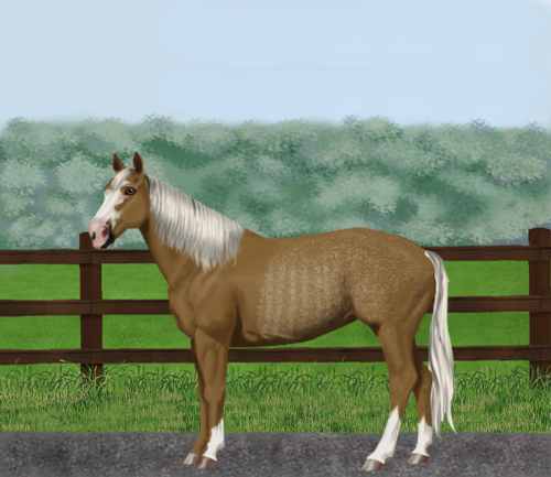 horse image