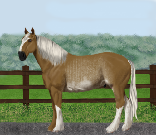 horse image