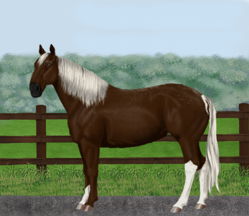 horse image