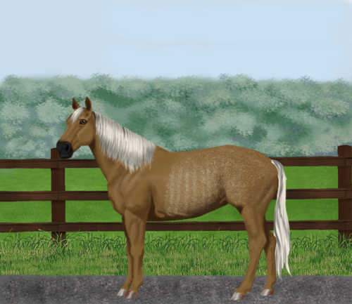 horse image