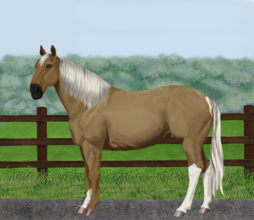 horse image