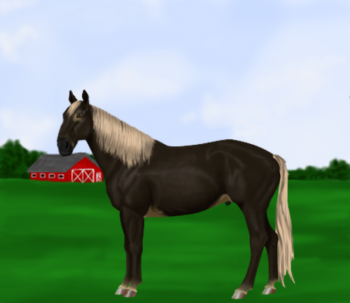 horse image