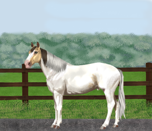 horse image