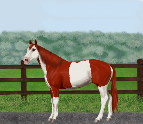 horse image